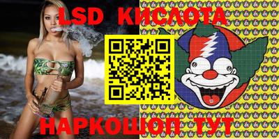 тгк Можга
