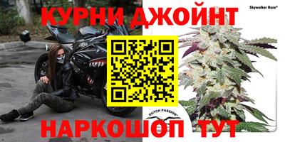 тгк Можга