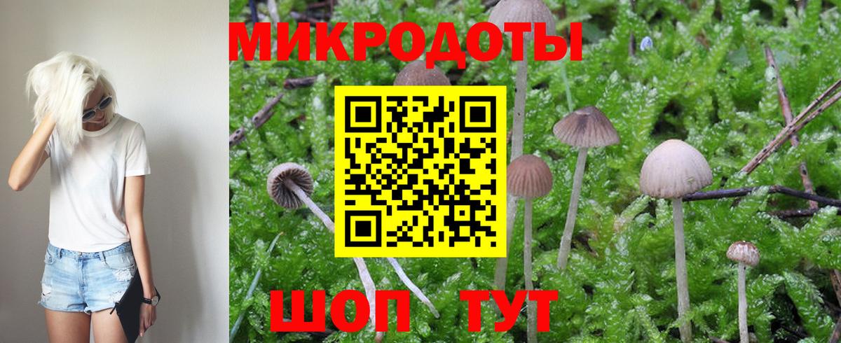 Галлюциногенные грибы GOLDEN TEACHER Тимашёвск